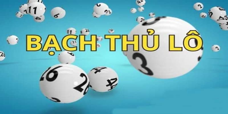 Bạch thủ lô miền Bắc Các chiến thuật soi bạch thủ lô miền Bắc chuẩn xác